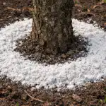 H1 A szilvafa példátlan terméssel köszöni meg: Miért a dolomitliszt tavasszal a legjobb ajándék a fának? h1-a-szilvafa-peldatlan-termessel-koszoni-meg-miert-a-dolomitliszt.png